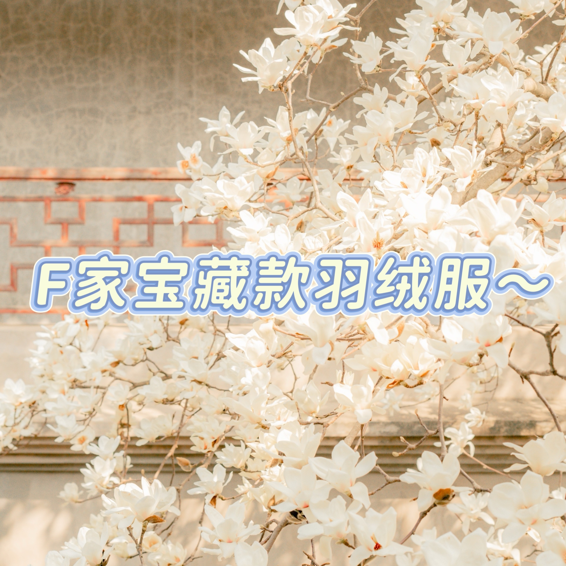 错过拍大腿！高级感满满 男女童冬季防泼水羽绒服 满印加厚面包服