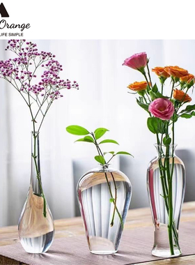 日式禅意透明玻璃观音瓶水培花器