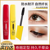 丽兰妃睫毛膏大容量浓密卷翘纤长防水黄胖子新疆大刷头初学者彩妆