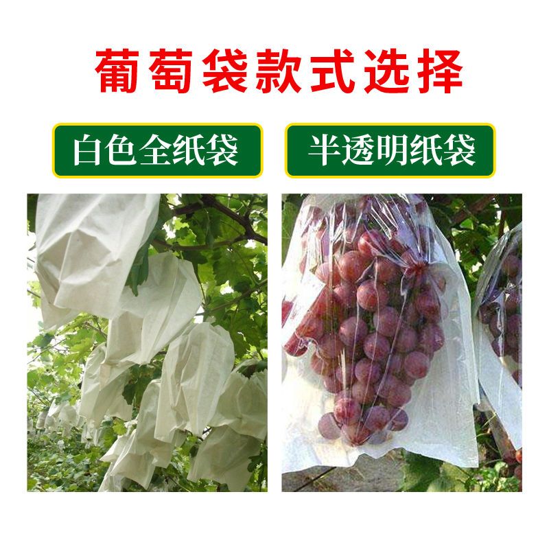葡萄袋套袋专用纸袋防水雨防鸟虫莲雾保护透气半透明天水果套袋子