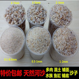 河沙天然粗河沙粒养鱼沙石水族造景垫材砂乌龟冬眠细沙子多肉铺面