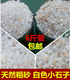 天然水晶砂多肉植物盆栽铺面石子水培河沙粗沙粒鱼缸铺底造景底砂