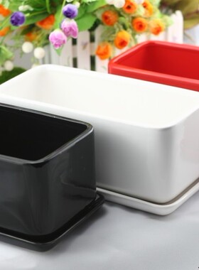 【热卖款】 陶瓷花盆长方形大号配底盘托盘多肉白色黑色红色包邮