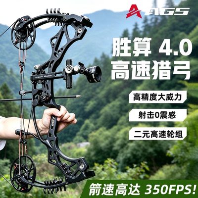 胜算4.0复合弓高精度射箭野外弓