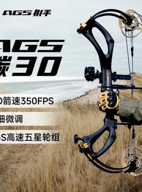 2026新款复合弓AGS射手碳30射箭射击成年人高精度非马赫霍伊特PSE