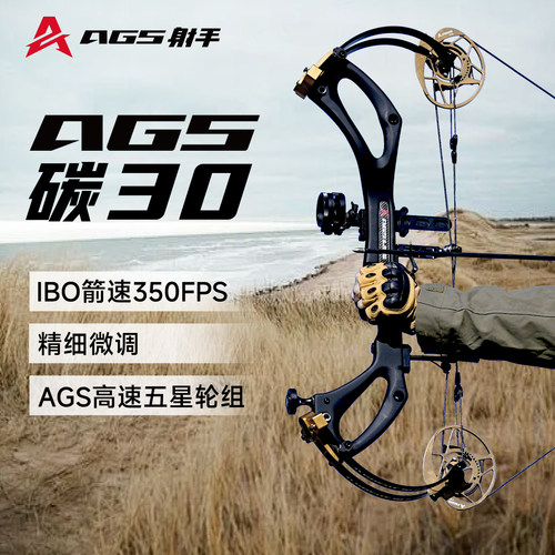 AGS射手碳30复合弓高精度射箭弓