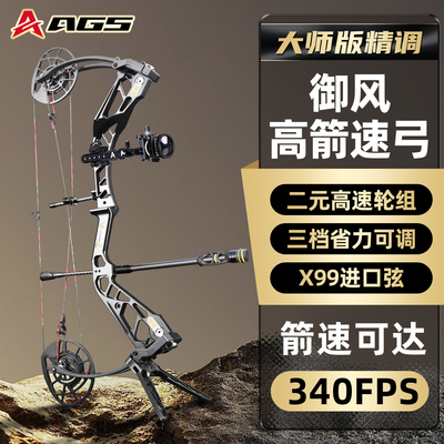AGS射手御风复合弓高精度狩猎
