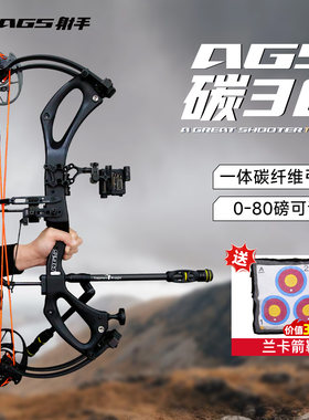 AGS碳30高精度专业竞技滑轮弓