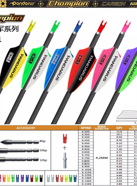 PANDARUS潘神4.2mm冠军纯碳箭射准复合反曲传统射箭弓箭射击运动