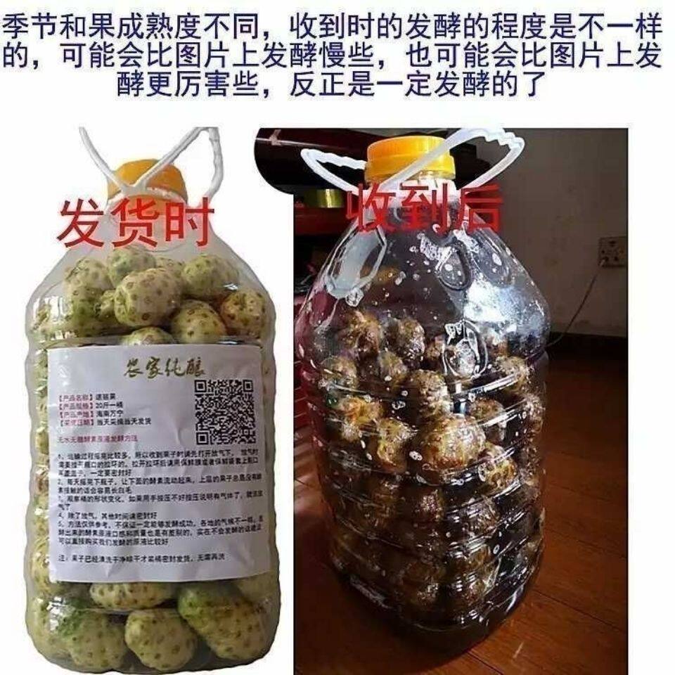 20斤诺丽果鲜果新鲜水果海巴戟酵素果海南农家新鲜现摘诺丽果新鲜