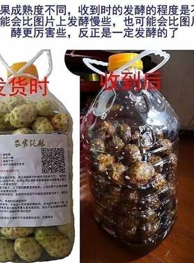 20斤诺丽果鲜果新鲜水果海巴戟酵素果海南农家新鲜现摘诺丽果新鲜
