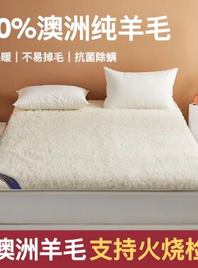 澳洲羊毛床垫软垫家用卧室床褥垫加厚毯子冬季冬天羊羔绒垫被褥子
