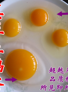 农家纯粮散养土鹅蛋新鲜有机草鹅处子初生蛋孕产妇去胎毒12枚