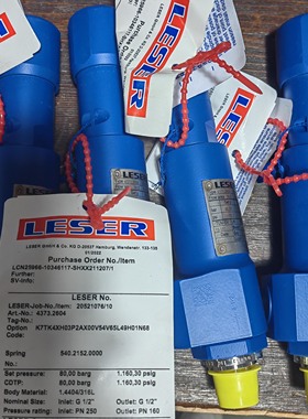 德国leser安全阀4373.2602原装进口现货 提供维修服务