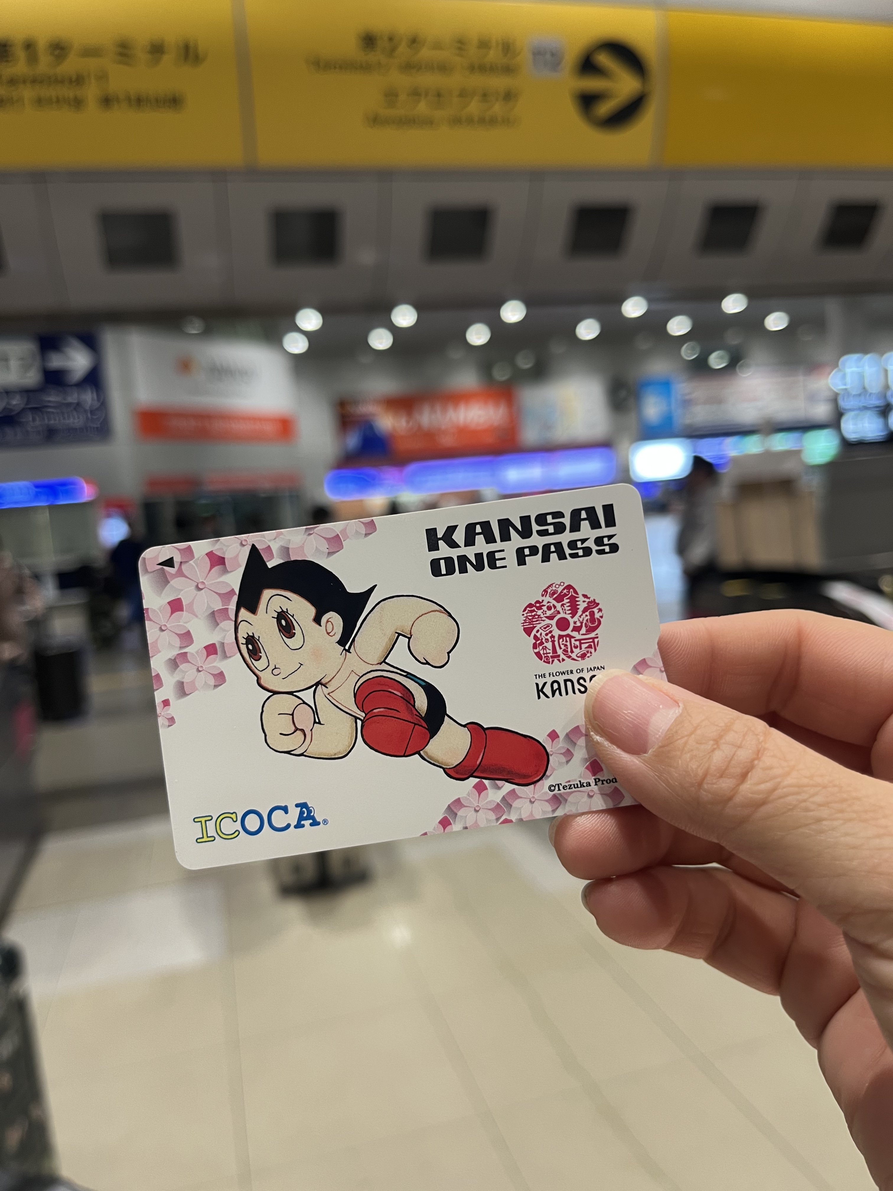 日本本土网站/药妆店 电器城 大丸高岛屋等百货代买