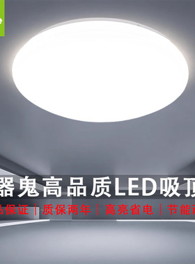 小器鬼LED吸顶灯新款银白客卧餐厅圆形灯具北欧现代超亮小气鬼