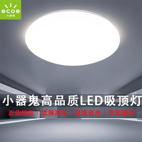 小器鬼LED吸顶灯新款银白客卧灯