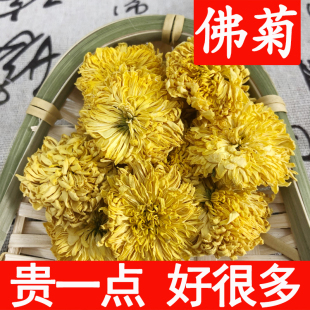 正品湖南张家界土特产佛菊土司贡菊天门山菊花茶印象菊花大菊花茶