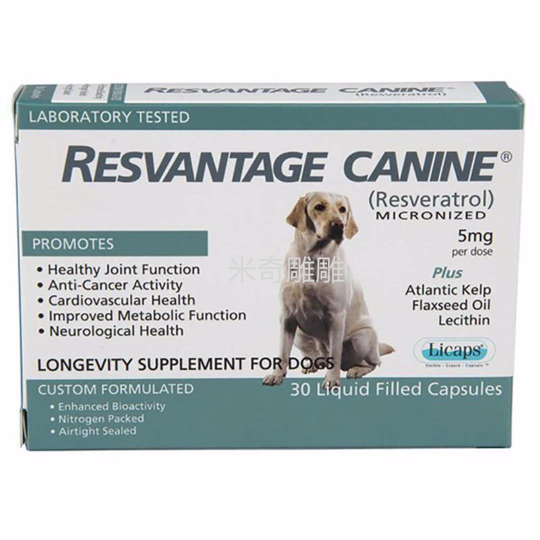 白藜芦醇老犬保健RESVANTAGE老狗