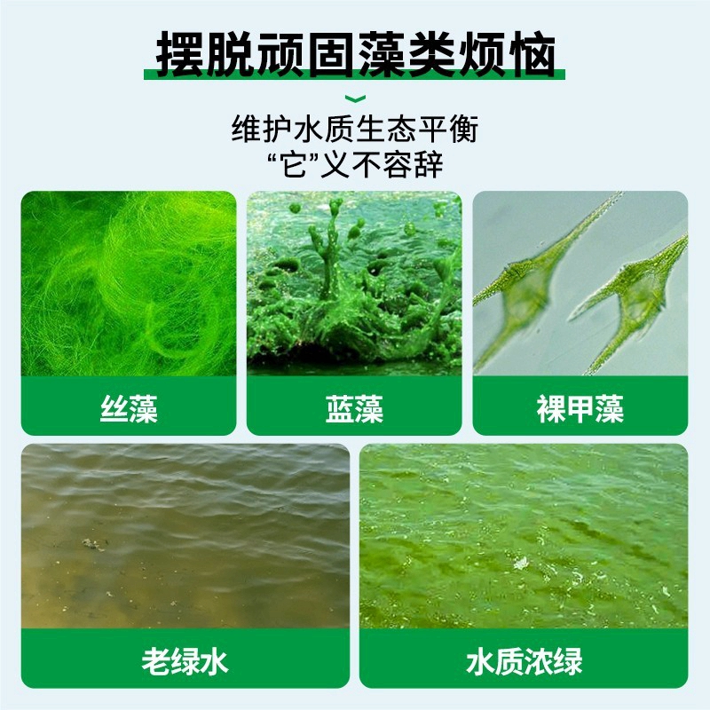 疯狂水草鱼池除藻粉去苔剂清除剂净青苔神器鱼塘除绿水灭藻剂