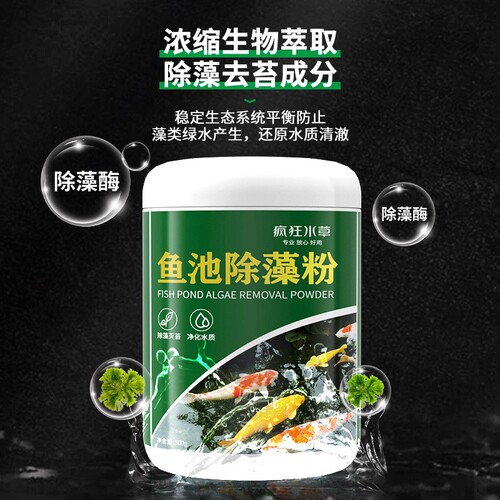 疯狂水草鱼池除藻粉青苔绿藻净化