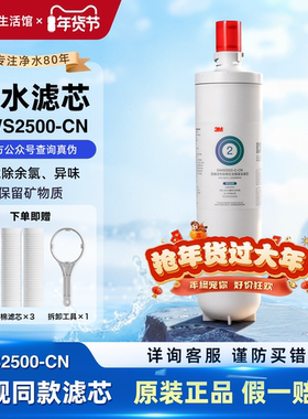 3M净水器滤芯DWS2500-CN替换后置活性炭棒 家用直饮过滤耗材配件
