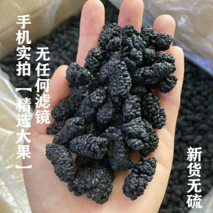 桑葚干无沙黑桑葚特选大果颗粒泡山刺玫瑰枸杞正品500克瓶免洗