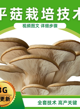 平菇栽培技术视频教程蘑菇种植