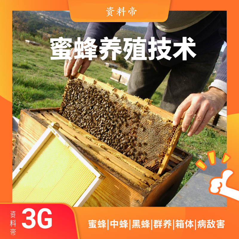 蜜蜂养殖技术教程视频中蜂饲养教科学课程病敌害防治全集养蜂管理