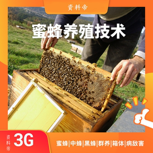 蜜蜂养殖技术教程视频中蜂饲养教科学课程病敌害防治全集养蜂管理