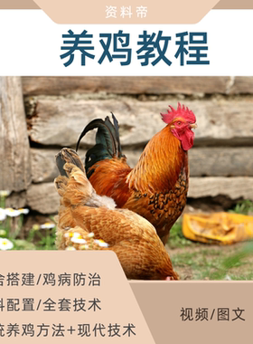 养鸡视频教程蛋肉鸡科学散养殖鸡病预防技术生态饲养料配PPT课件