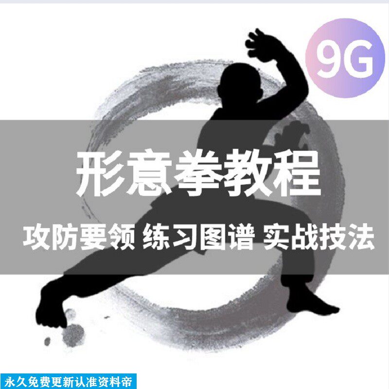 形意拳教学视频入门拳谱十二形全套自学图解五行实战教程心意行意