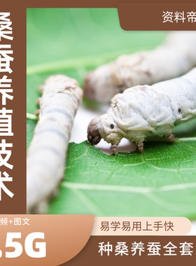 养蚕技术视频教程桑蚕养殖种桑蚕病大棚沙蚕条桑养蚕全套教学课件