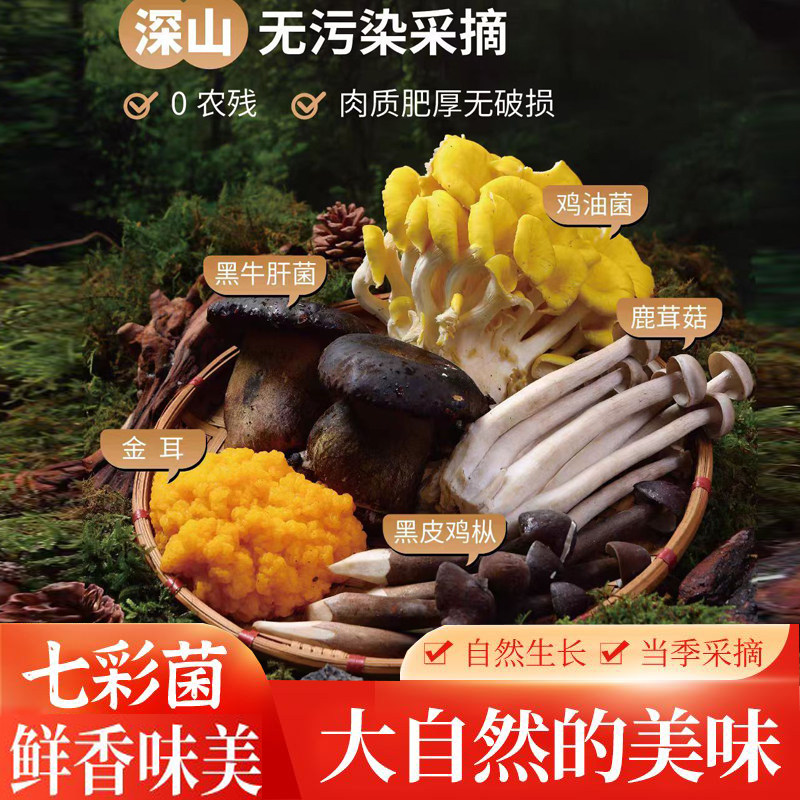 【顺丰包邮】云南特产七彩菌组合菌菇新鲜蘑菇食用杂菌汤火锅食材
