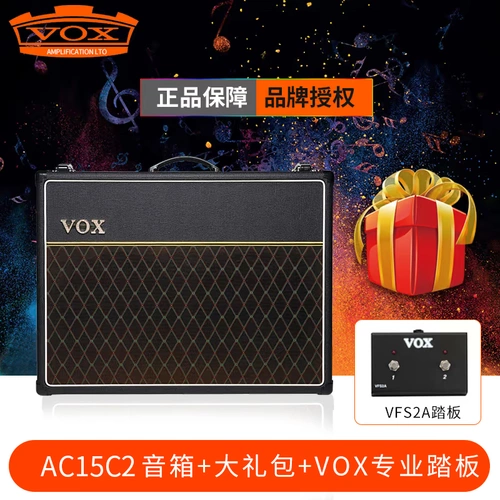 Электронная гитара, колонки, мегафон ручной работы, C1, C1, C2, G12