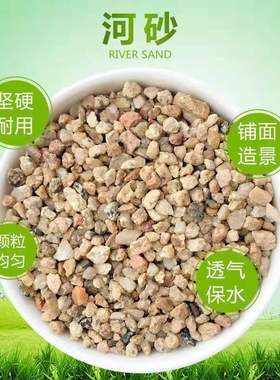 天然粗河沙子花用植物多肉颗粒土铺面石透气天然黄细砂鱼缸底沙
