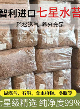 七星智利进口毛毛虫水苔蝴蝶兰植物兰花干苔藓植料专用原装整包