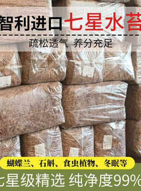 食虫植物用土七星级智利进口