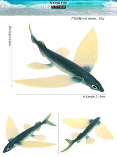 儿童玩具仿真实心大号飞鱼滑翔鱼翱翔鱼科教认知海洋生物动物模型