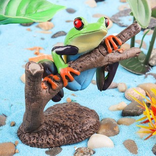 仿真野生动物昆虫模型儿童认知玩具热带雨林爬树红眼树蛙青蛙摆件