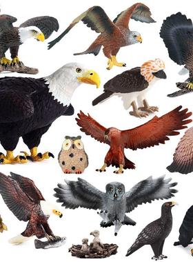 儿童玩具仿真动物模型老鹰金雕游隼蛇鹫白头海雕猫头鹰认知礼摆件