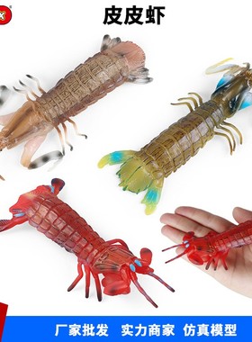 仿真实心海洋动物模型皮皮虾濑尿虾虾姑虾耙子虾婆婆儿童科教玩具