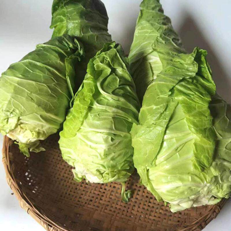 云南牛心菜手撕包心菜绿甘蓝莲花白尖牛心包菜卷心菜新鲜蔬菜当季