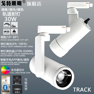 COB博物馆轨道灯射灯30W单灯调光美术馆可调色温展厅展板导轨灯