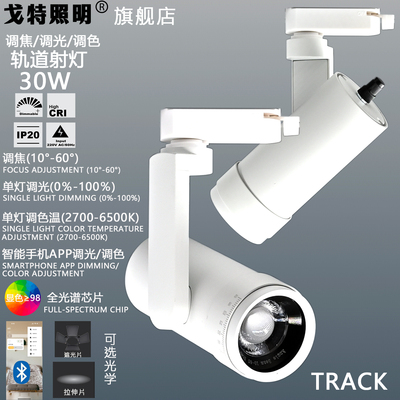 LED轨道灯30W博物馆展陈美术馆