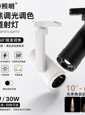 LED轨道灯30W博物馆展陈美术馆