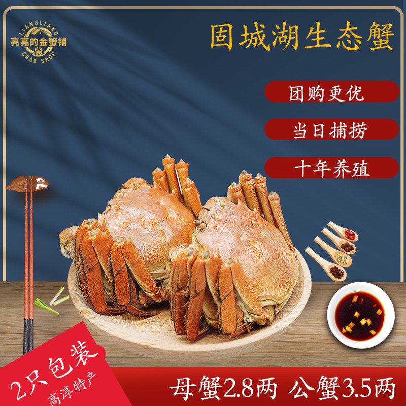 固城湖大闸蟹黄多肉肥死蟹包赔