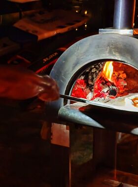 美国thorkitchen酒店户外别墅庭院家商2用不锈钢披萨炉木炭烧烤炉