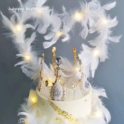 唯美百变大翅膀仙女公主白色羽毛