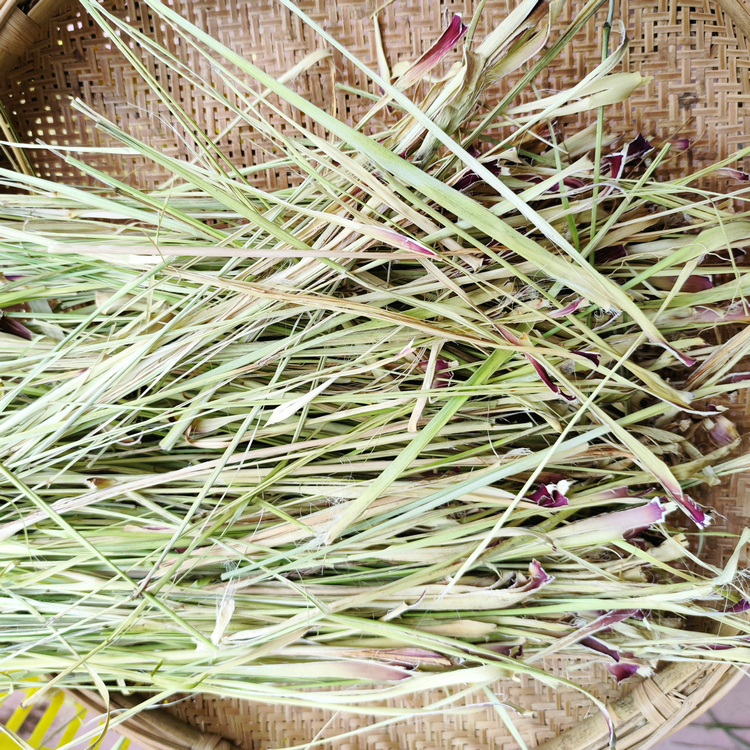 茎秆云南干香茅草柠檬草干 泰国品种香茅草泰式冬阴功饮品
